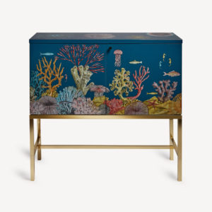 Cabinet "Fondo Marino"