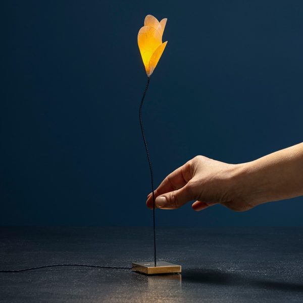 Lampe de table For You – Image 2