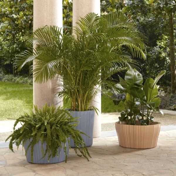 Cache-pot Corteza (large) – Image 2